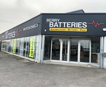 BERRY BATTERIES